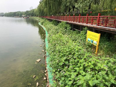 渾河右岸長青橋--勝利橋岸坎修復(fù)工程